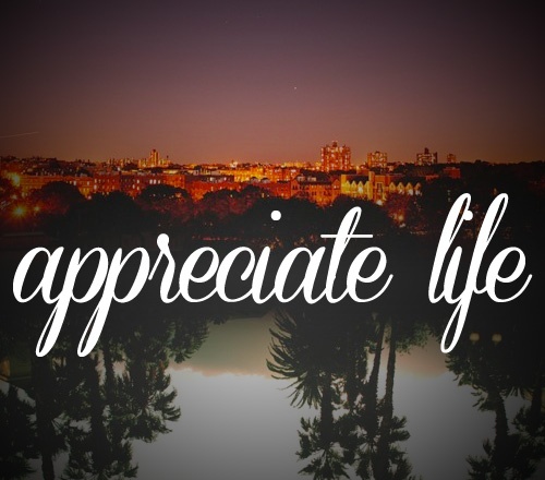 appreciate your life