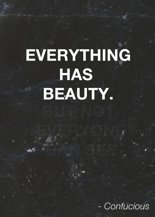 Everything has beauty...
